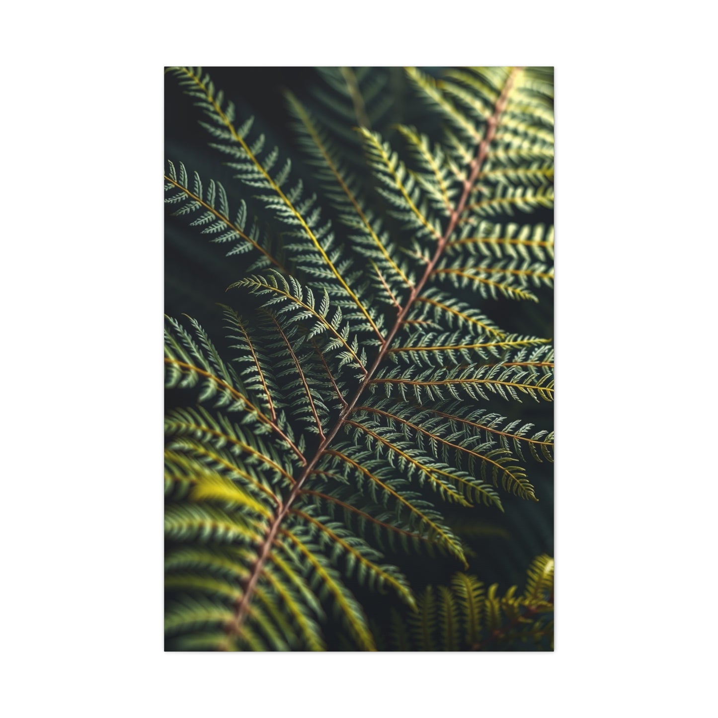 Supreme Fern Art Collection Wall Art & Canvas Print