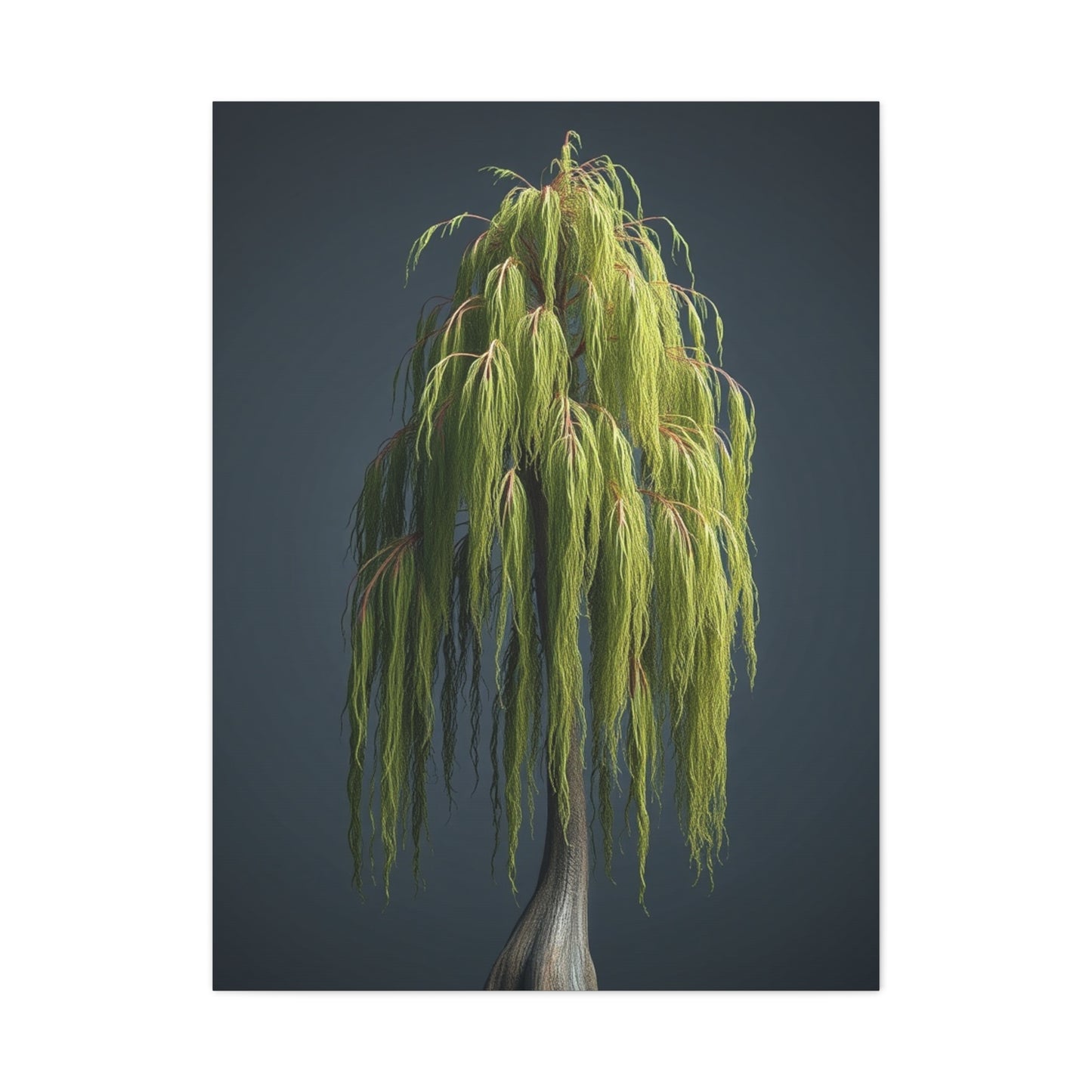 Supreme Willow Tree Art Collection Wall Art & Canvas Print