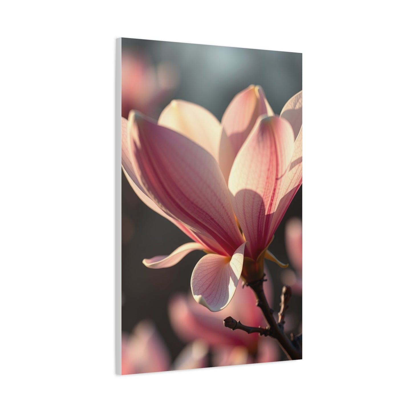 Supreme Magnolia Art Collection Wall Art & Canvas Print