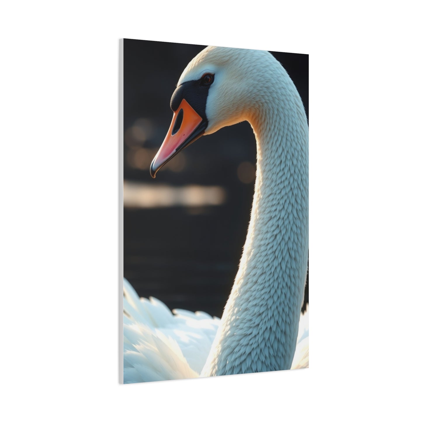Swan Art Luxury Canvas Wall Art & Canvas Print