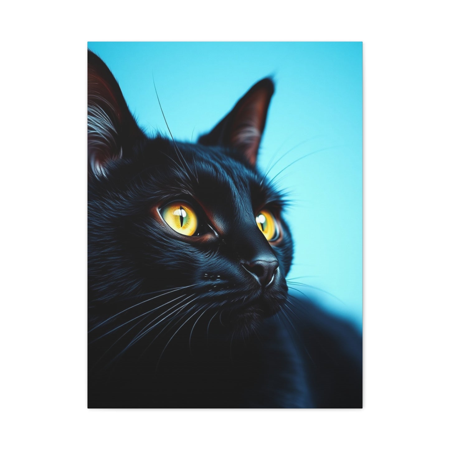 Supreme Black Cat Art Collection Wall Art & Canvas Print