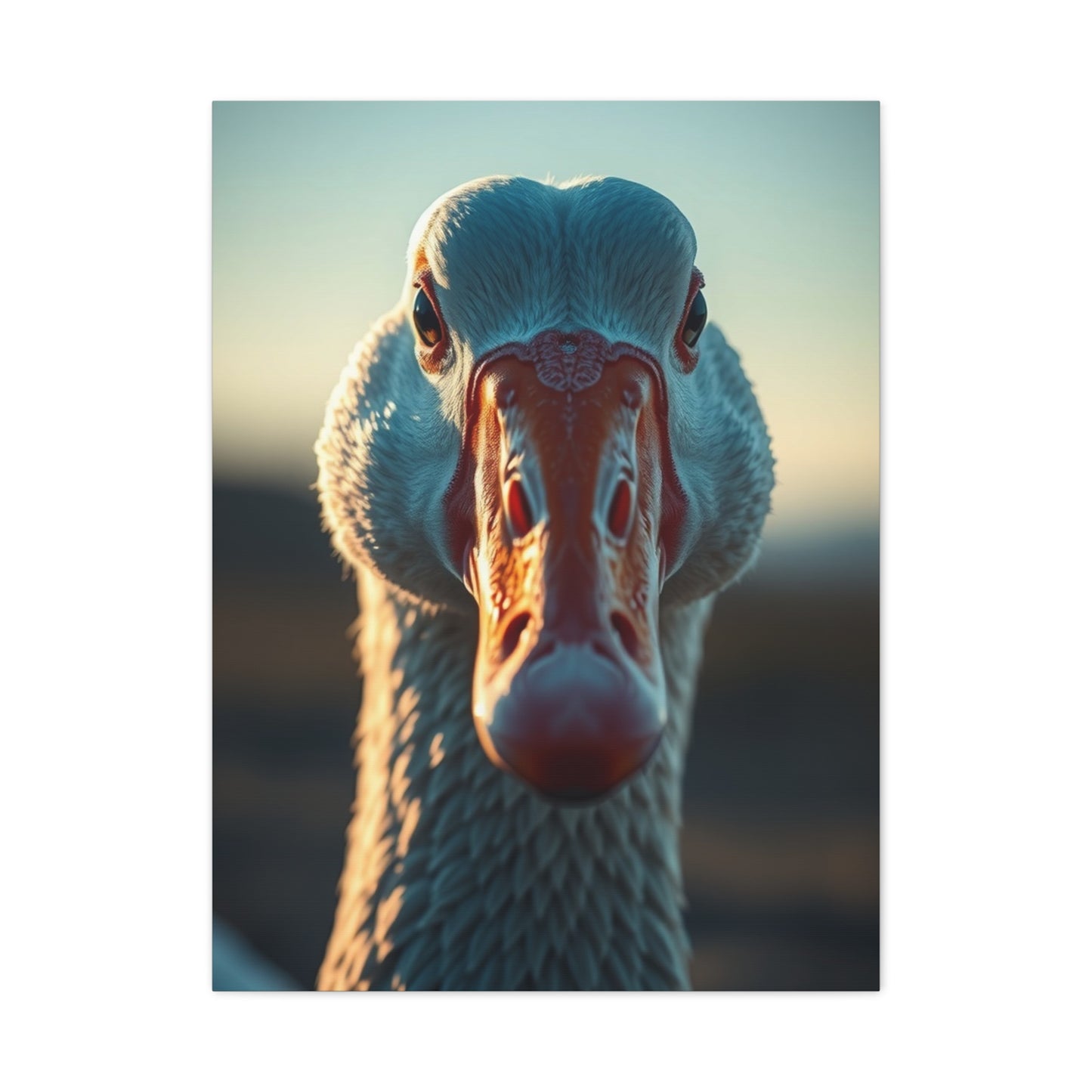 Goose Art Refined Canvas Wall Art & Canvas Print