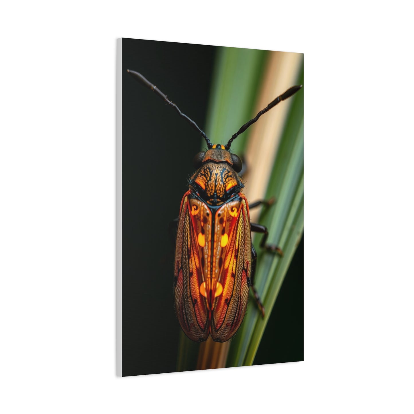 Firefly (Lighting Bug) Art Refined Canvas Wall Art & Canvas Print
