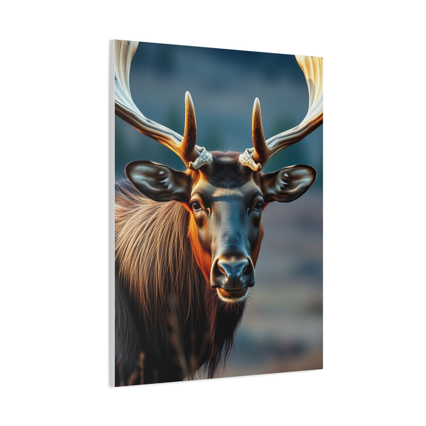 Elite Elk Art Vision Wall Art & Canvas Print