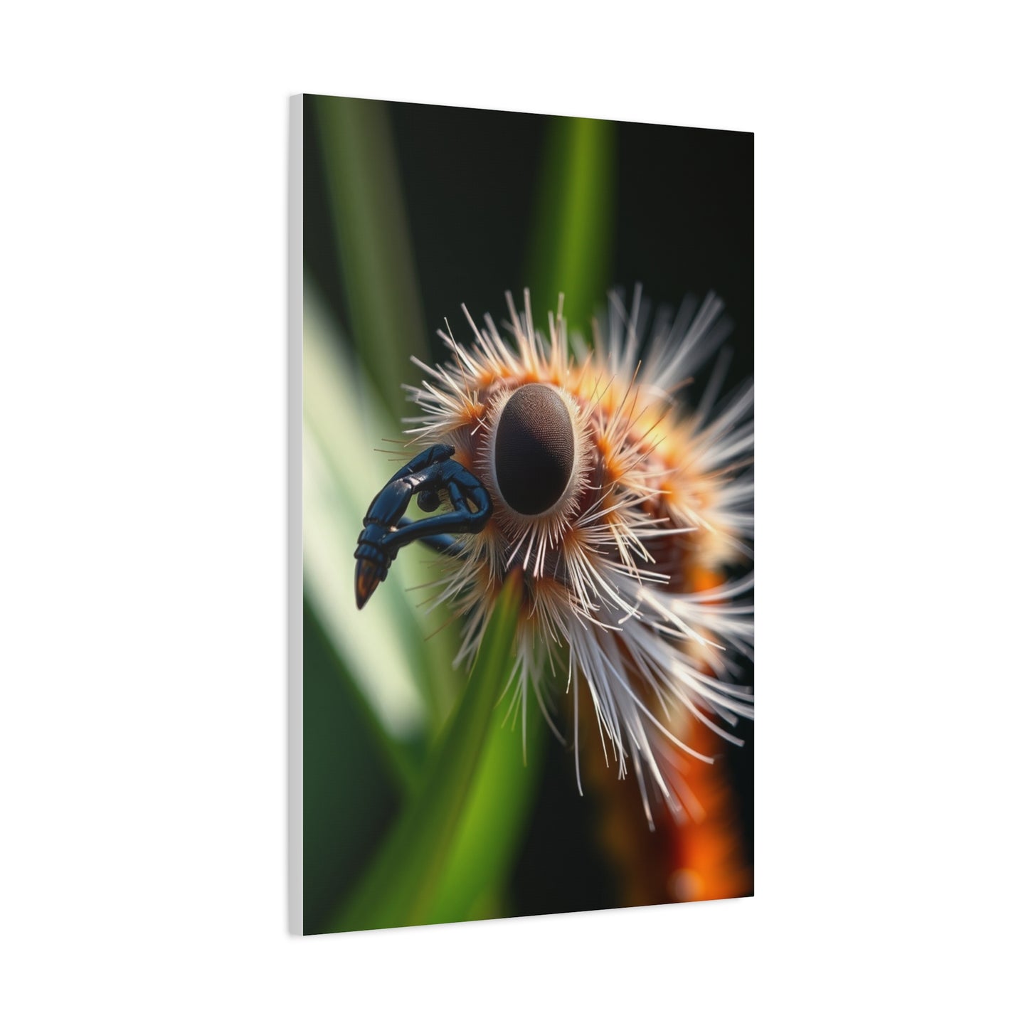 Supreme Nature Closeups Art Collection Wall Art & Canvas Print