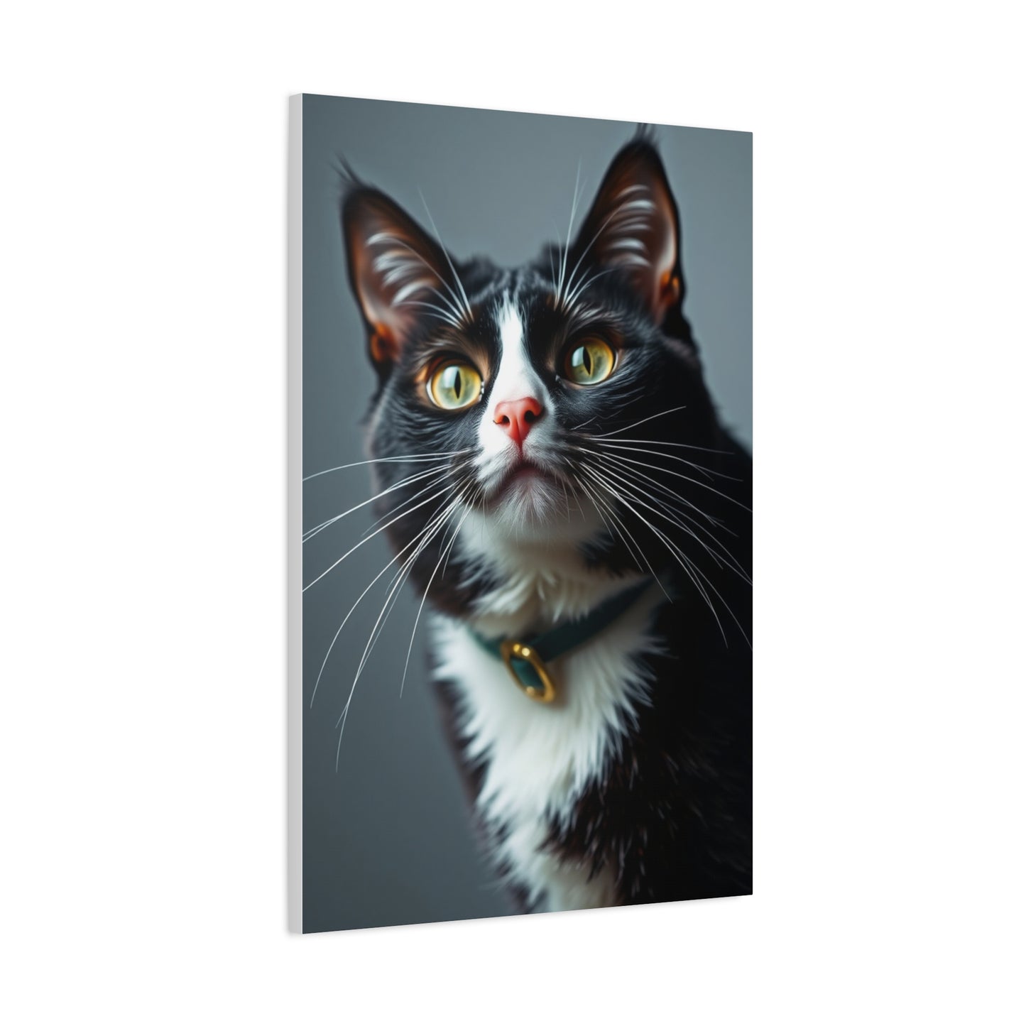 Supreme Tuxedo Cat Art Collection Wall Art & Canvas Print