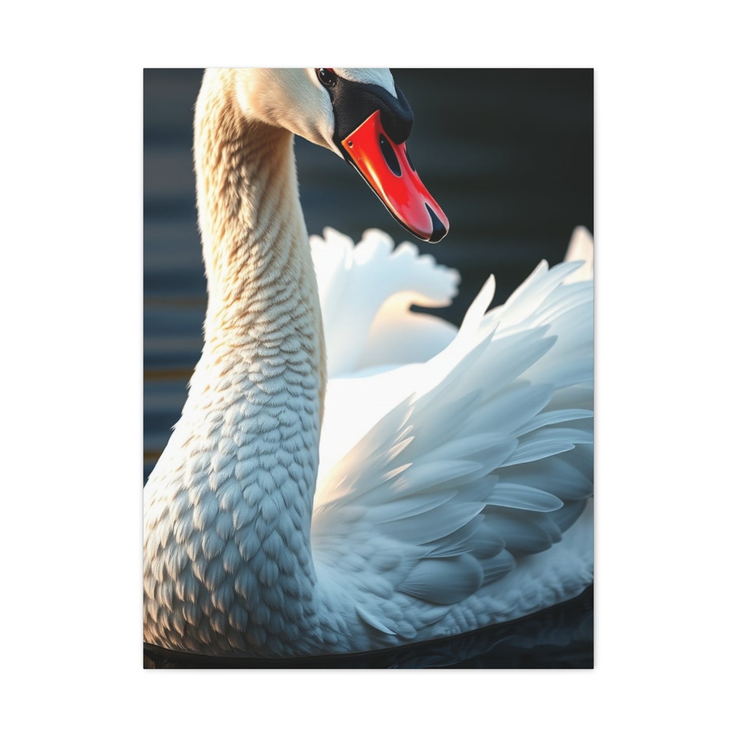 Swan Art Supreme Gallery Wall Art & Canvas Print