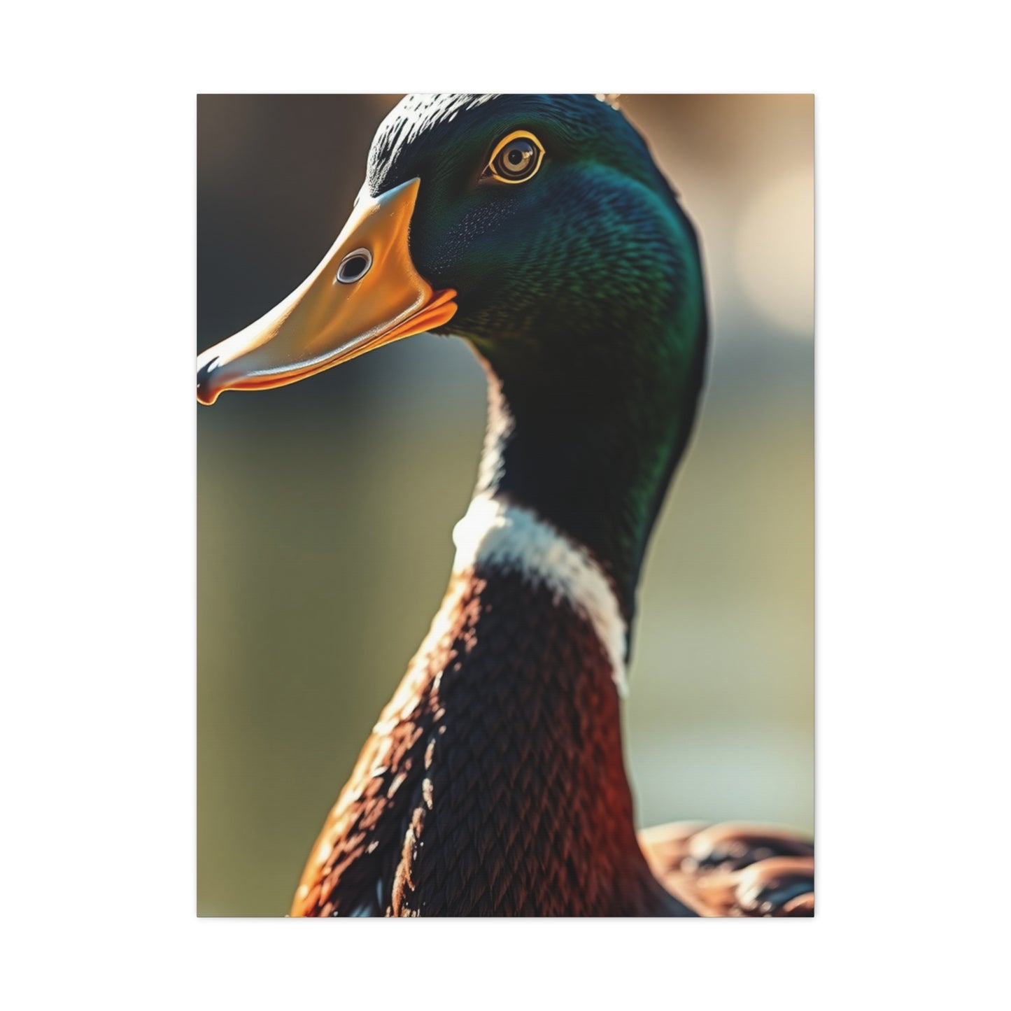 Supreme Duck Art Collection Wall Art & Canvas Print