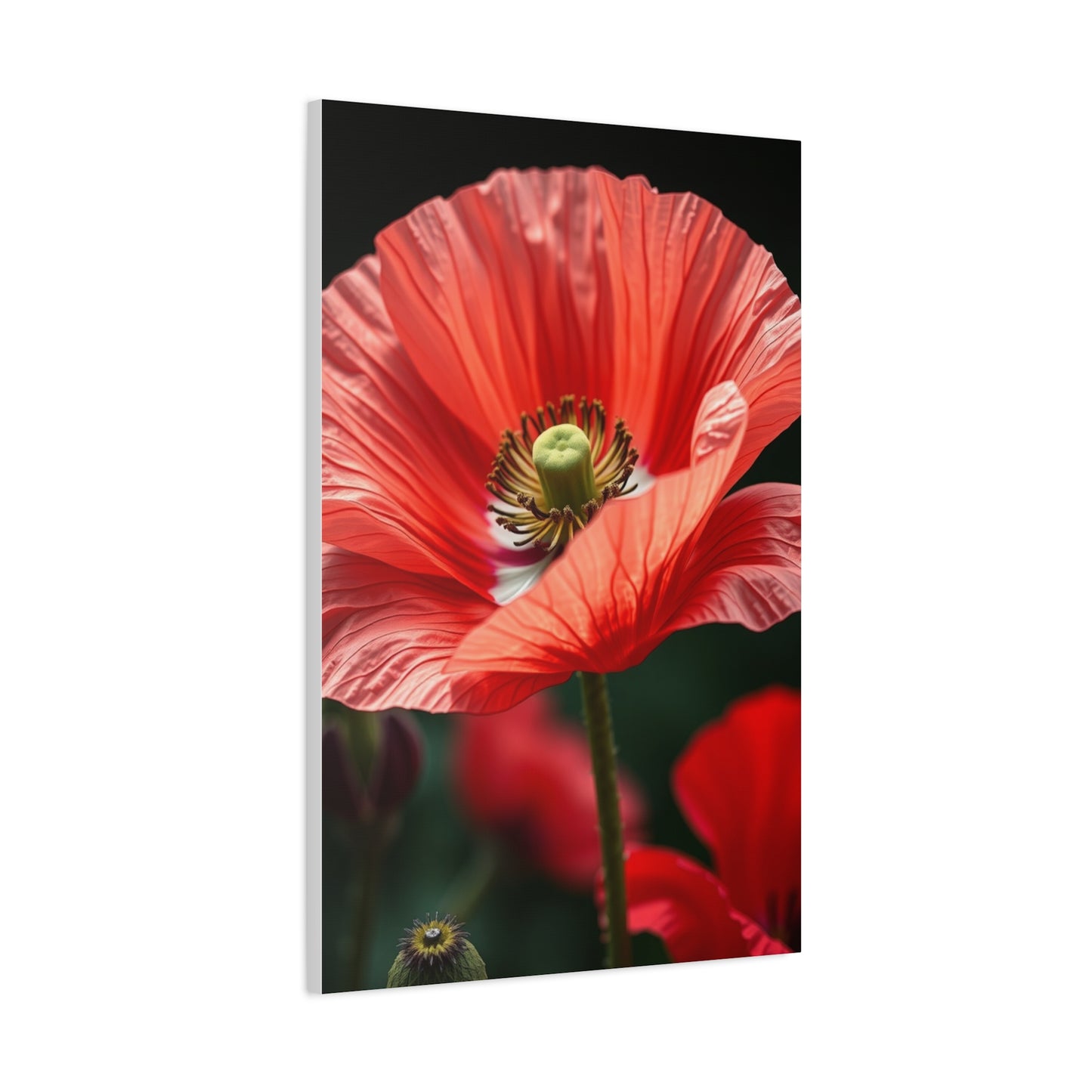 Poppy Flower Art Refined Canvas Wall Art & Canvas Print