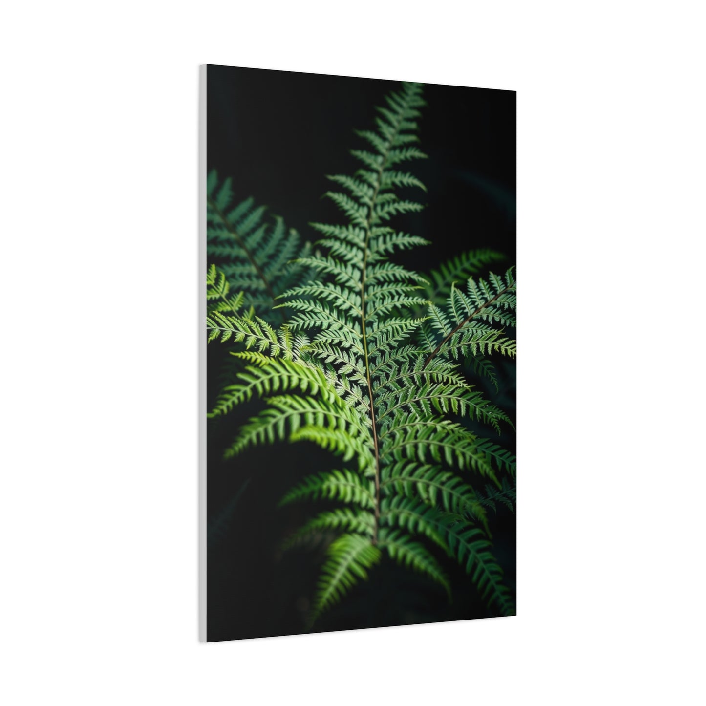 Fern Art Refined Canvas Wall Art & Canvas Print