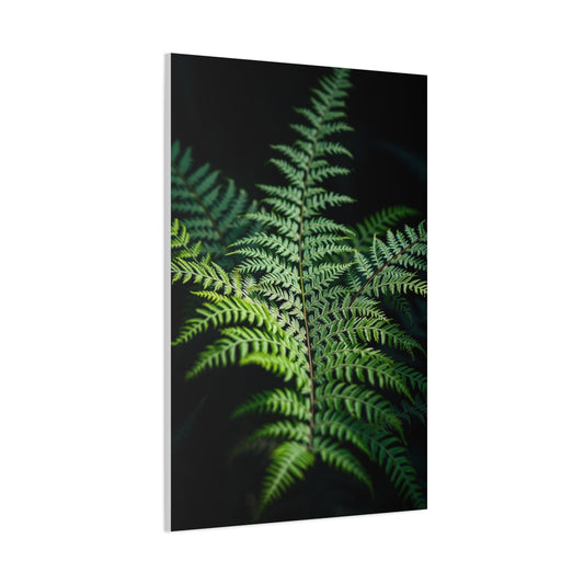 Fern Art Refined Canvas Wall Art & Canvas Print