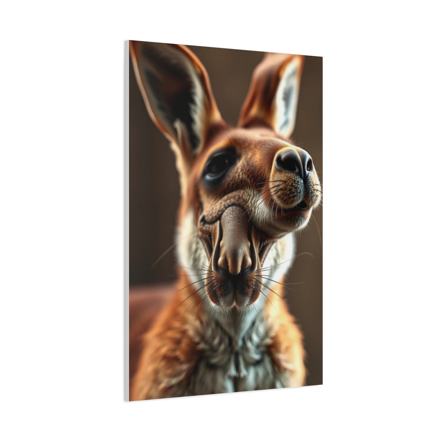 Supreme Kangaroo Art Collection Wall Art & Canvas Print