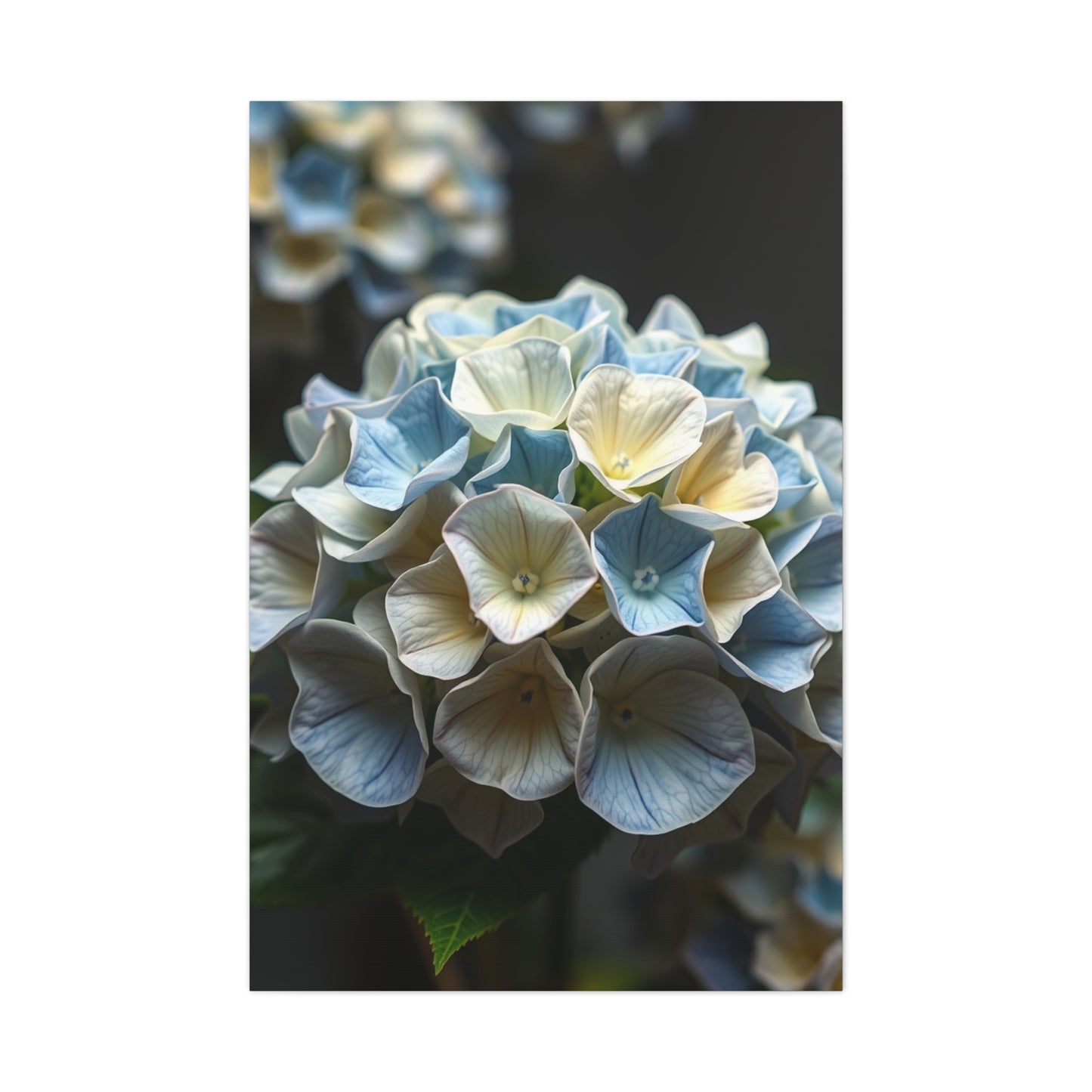 Masterpiece Hydrangea Flower Art Vision Wall Art & Canvas Print