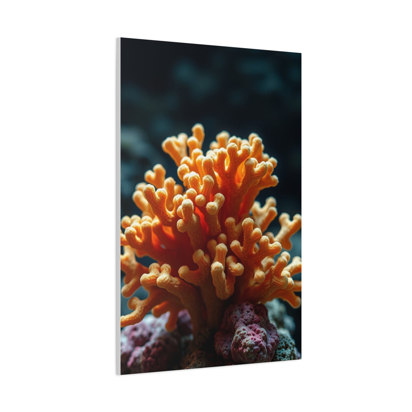 Supreme Coral Art Collection Wall Art & Canvas Print