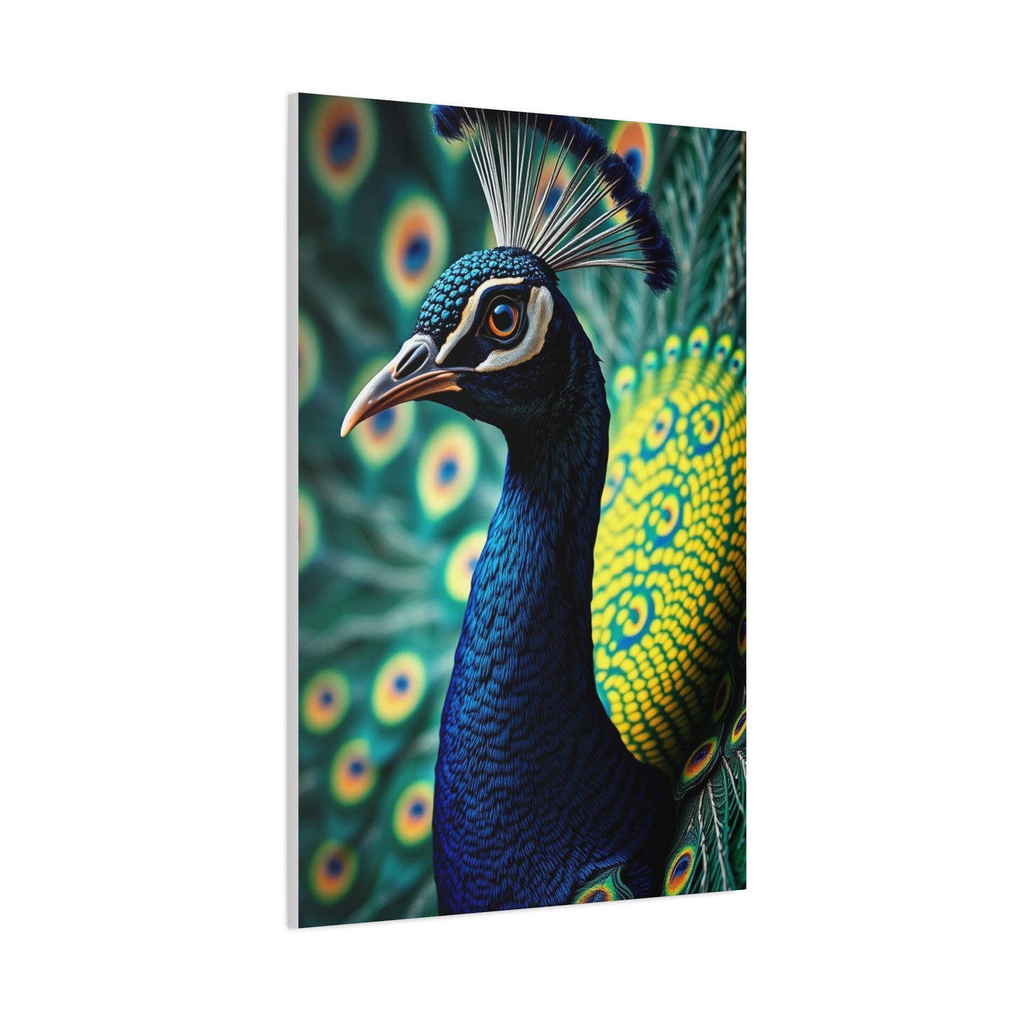 Elite Peacock Art Vision Wall Art & Canvas Print