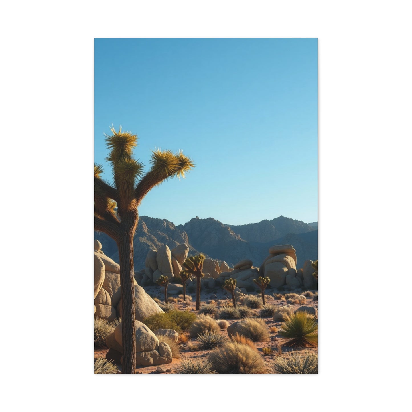 Supreme Joshua Tree National Park Art Collection Wall Art & Canvas Print