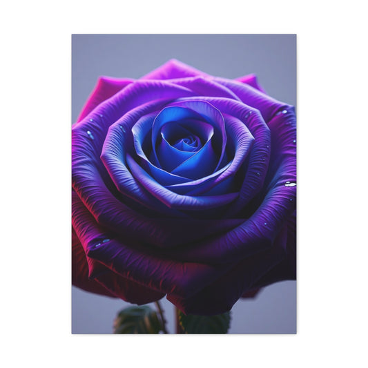 Elite Rose Art Vision Wall Art & Canvas Print