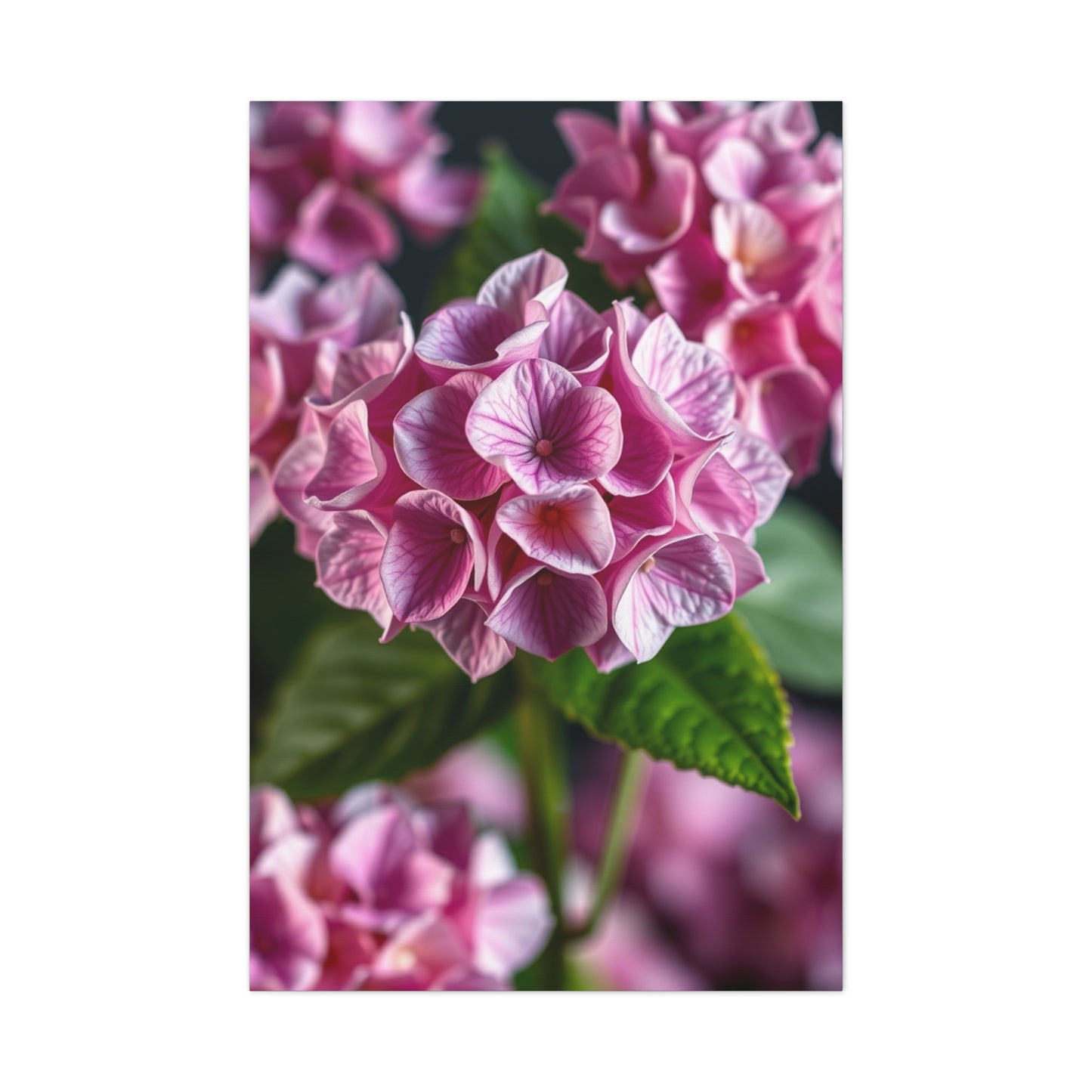Supreme Hydrangea Flower Art Collection Wall Art & Canvas Print