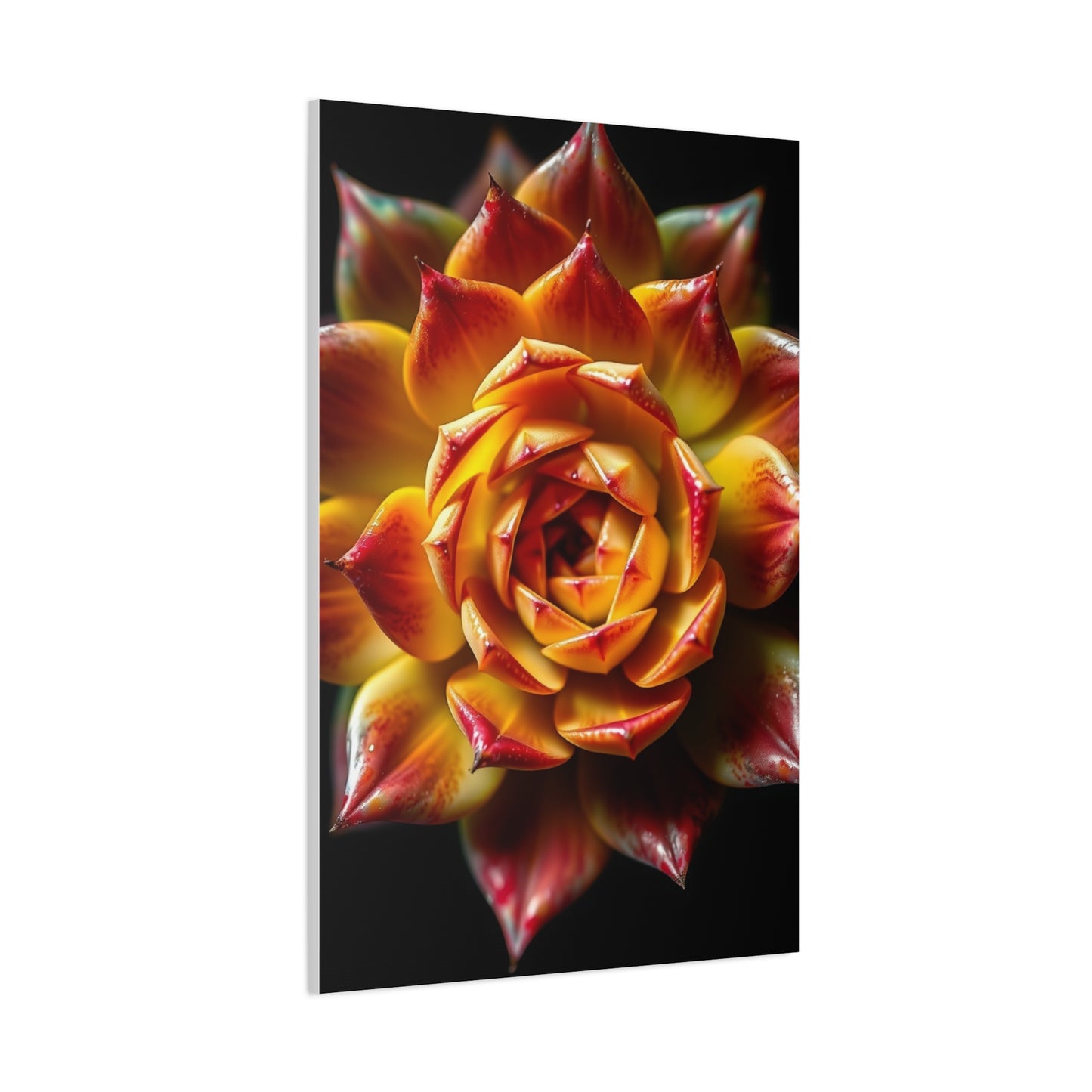 Supreme Succulent Art Collection Wall Art & Canvas Print