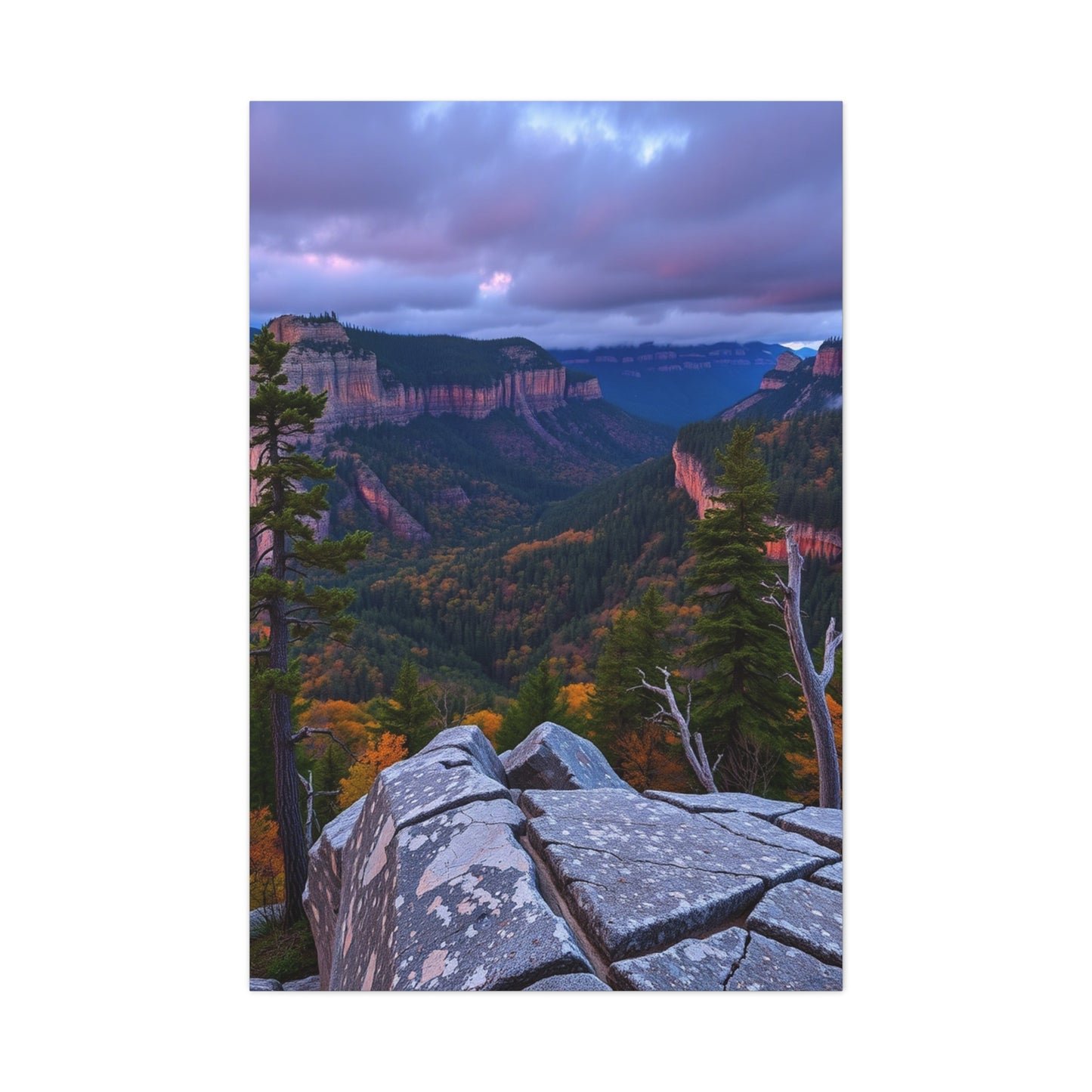 Great Smoky Mountain National Park Art Luxury Canvas Wall Art & Canvas Print