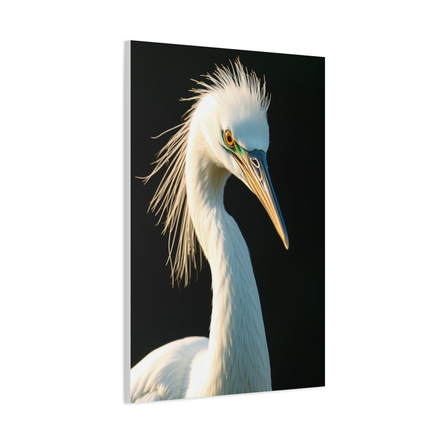 Collection Egret Art Art Wall Art & Canvas Print