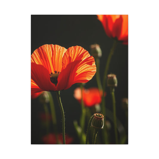 Poppy Flower Art Luxury Canvas Wall Art & Canvas Print