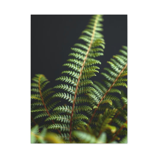 Fern Art Supreme Gallery Wall Art & Canvas Print