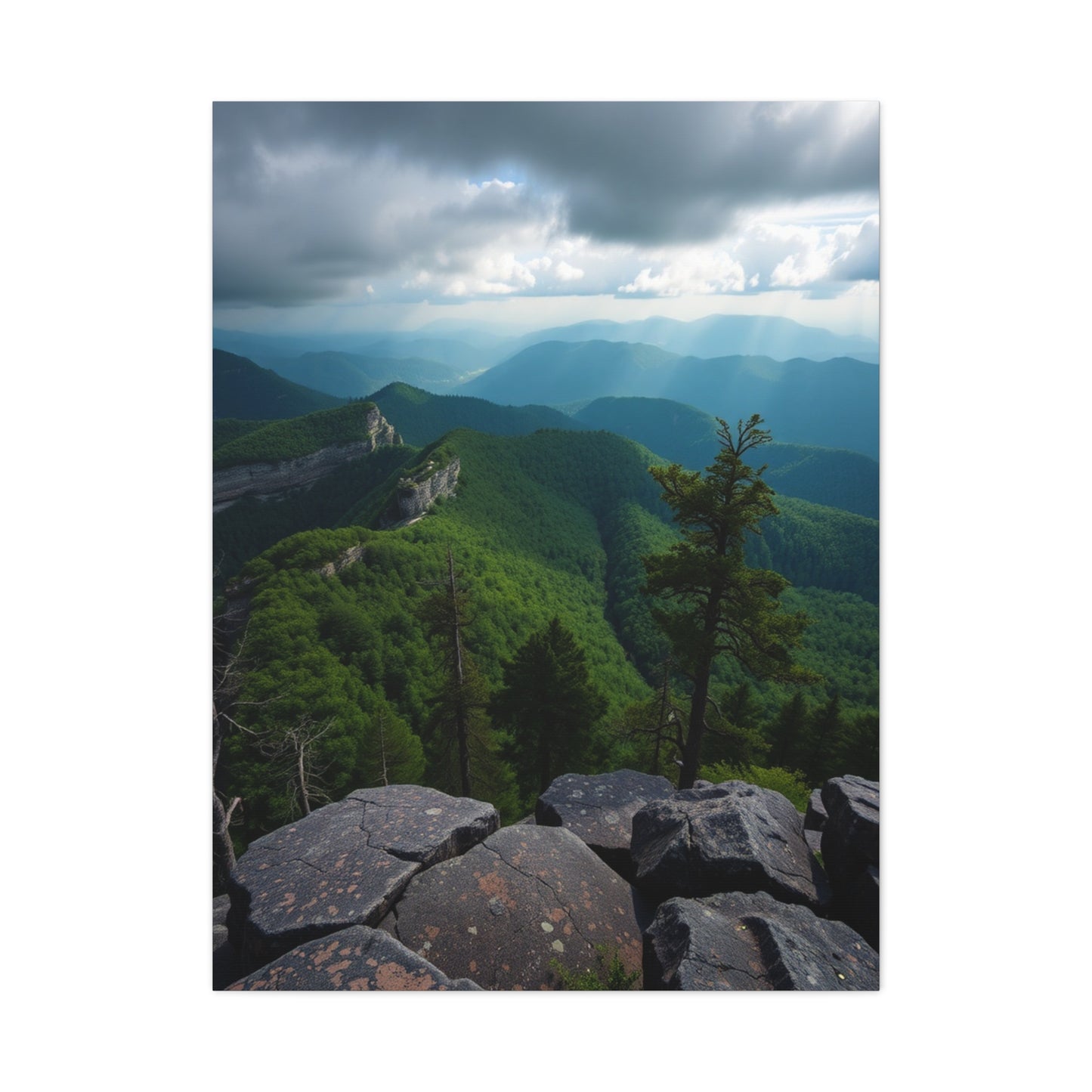Great Smoky Mountain National Park Art Refined Canvas Wall Art & Canvas Print