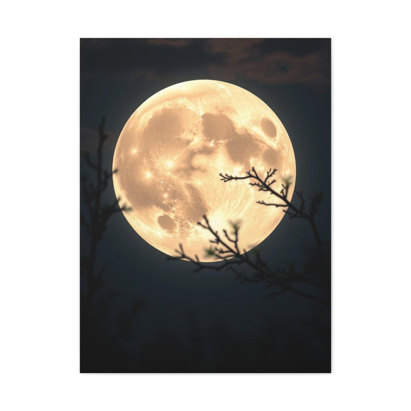Elite Full Moon Art Vision Wall Art & Canvas Print
