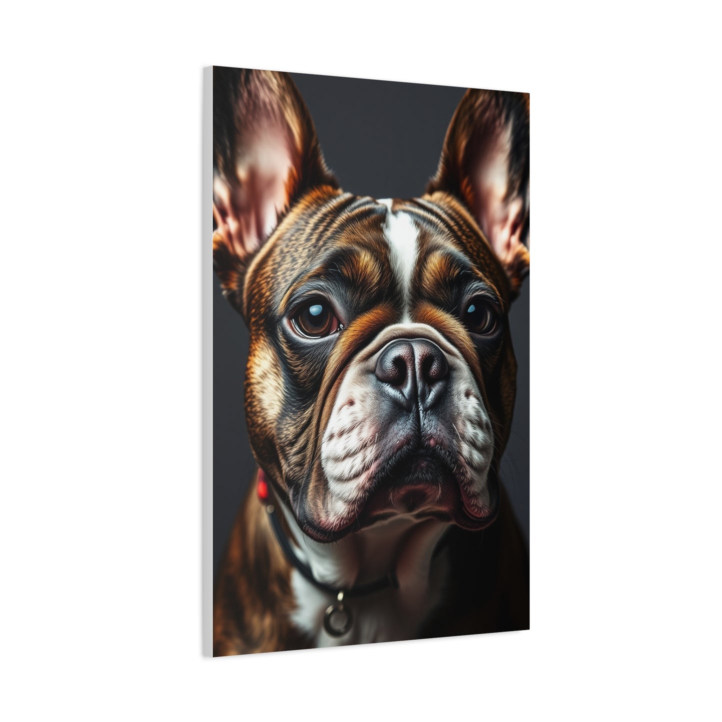 Supreme French Bulldog Art Collection Wall Art & Canvas Print