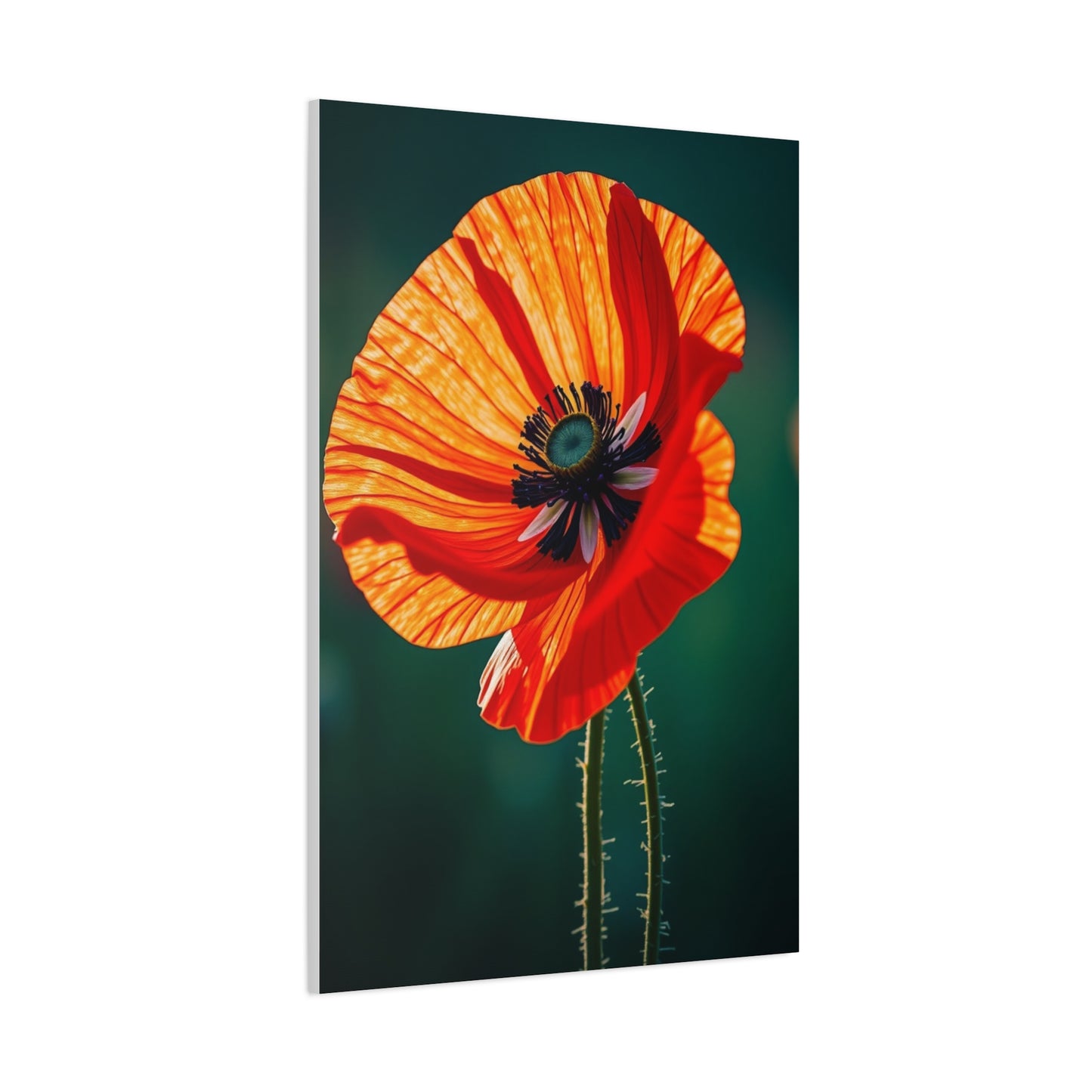 Elite Poppy Flower Art Vision Wall Art & Canvas Print