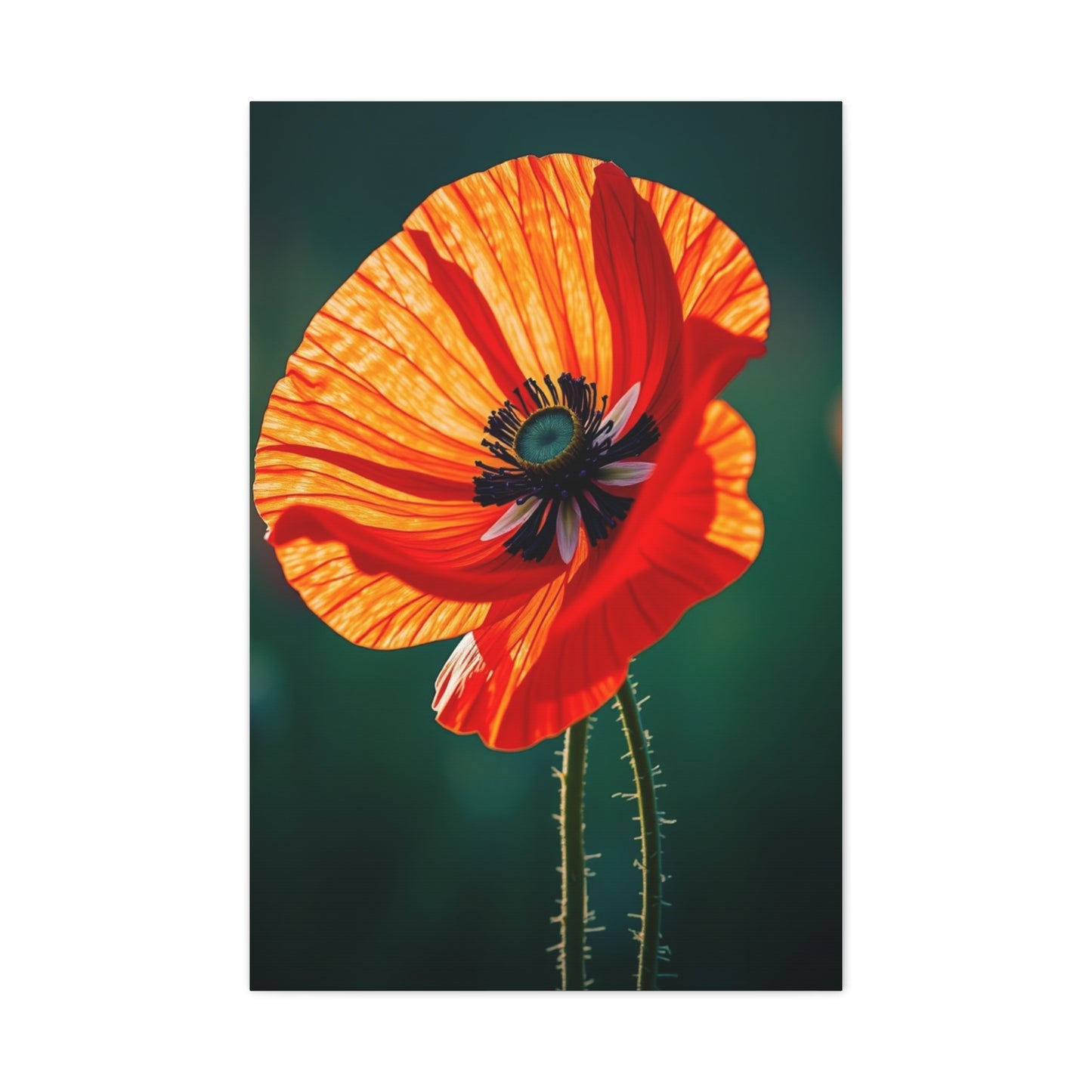 Elite Poppy Flower Art Vision Wall Art & Canvas Print