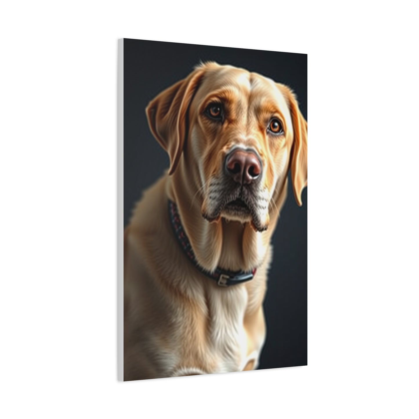 Elite Labrador Retriever Art Vision Wall Art & Canvas Print
