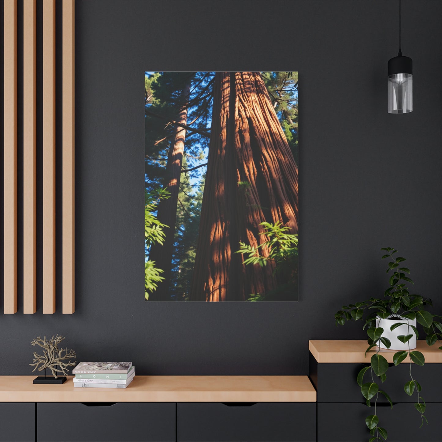 Supreme Redwood Tree Art Collection Wall Art & Canvas Print
