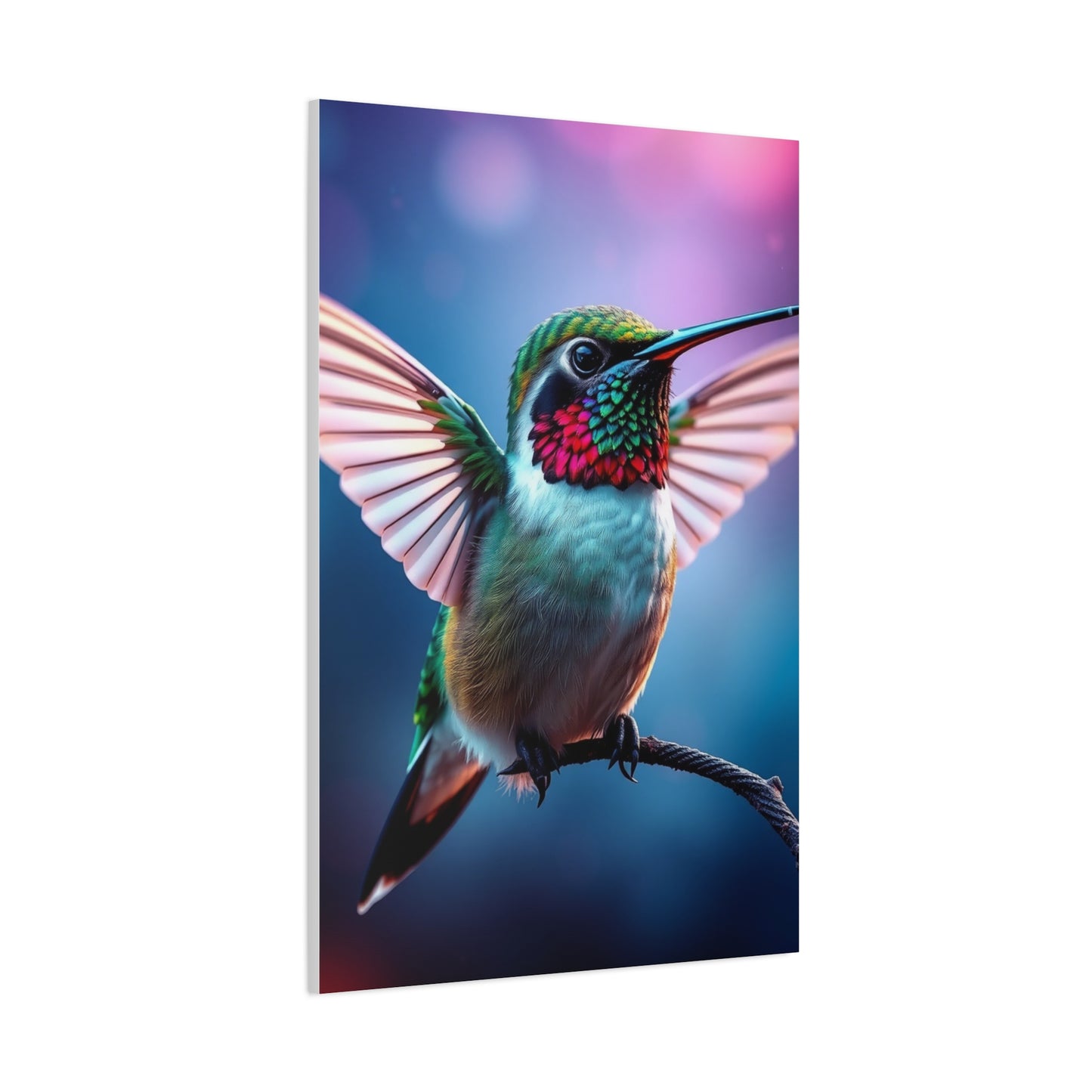 Humming Bird Art Luxury Canvas Wall Art & Canvas Print