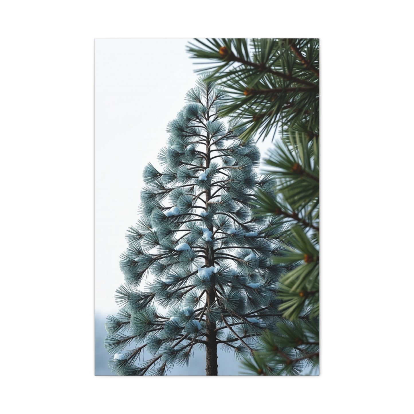 Masterpiece Pine Tree Art Vision Wall Art & Canvas Print