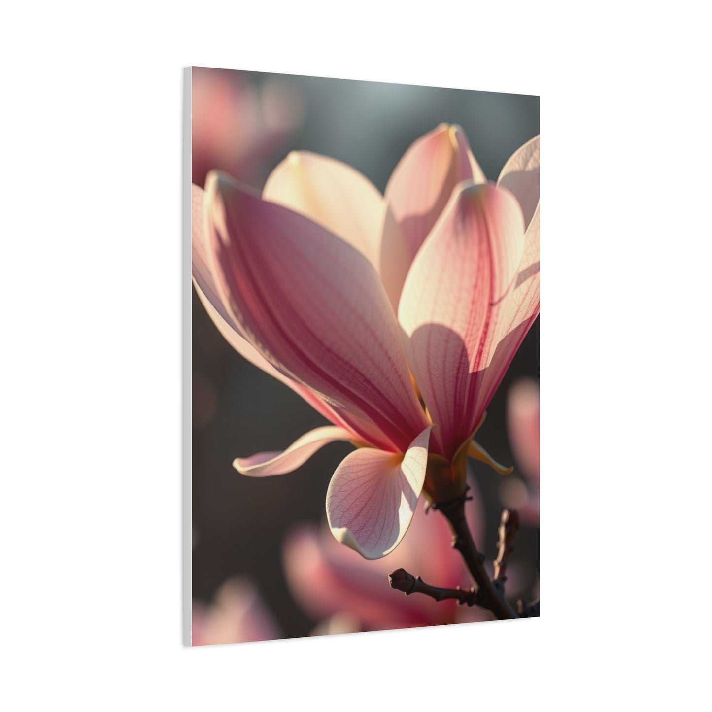 Supreme Magnolia Art Collection Wall Art & Canvas Print