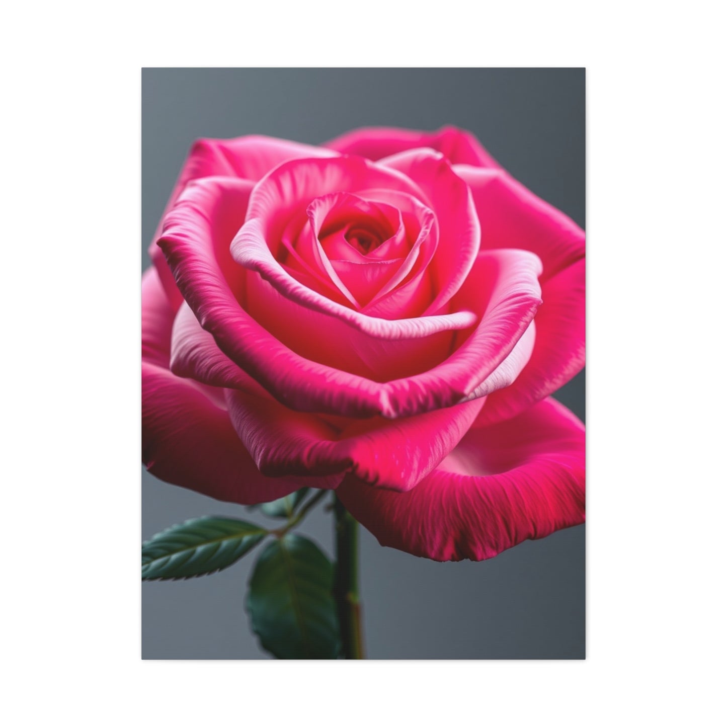 Rose Flower Art Luxury Canvas Wall Art & Canvas Print