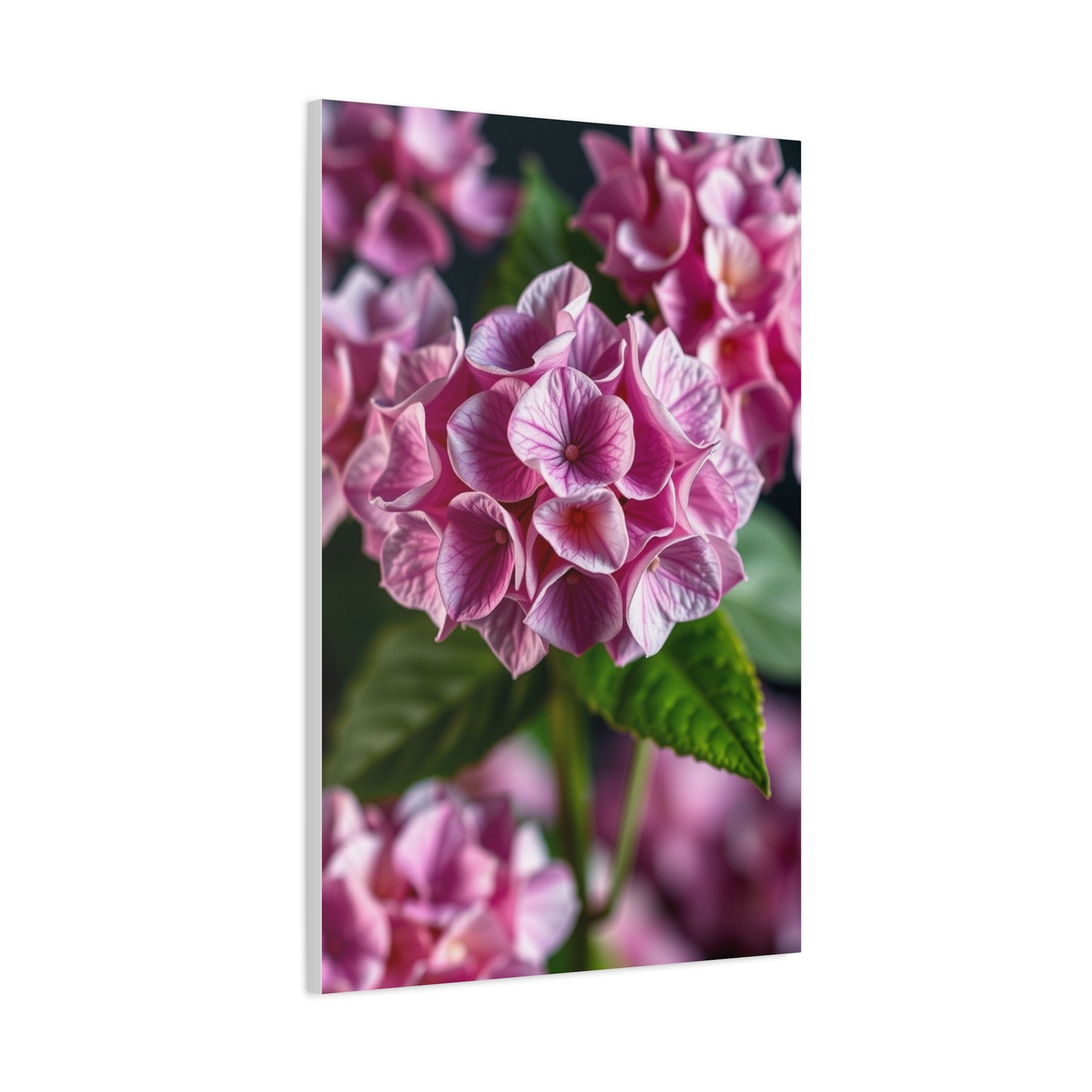 Supreme Hydrangea Flower Art Collection Wall Art & Canvas Print