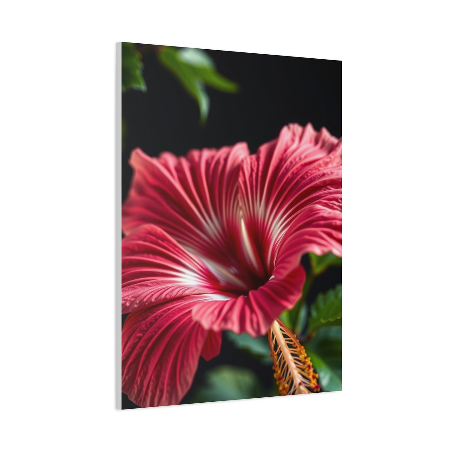 Hibiscus Flower Art Supreme Gallery Wall Art & Canvas Print