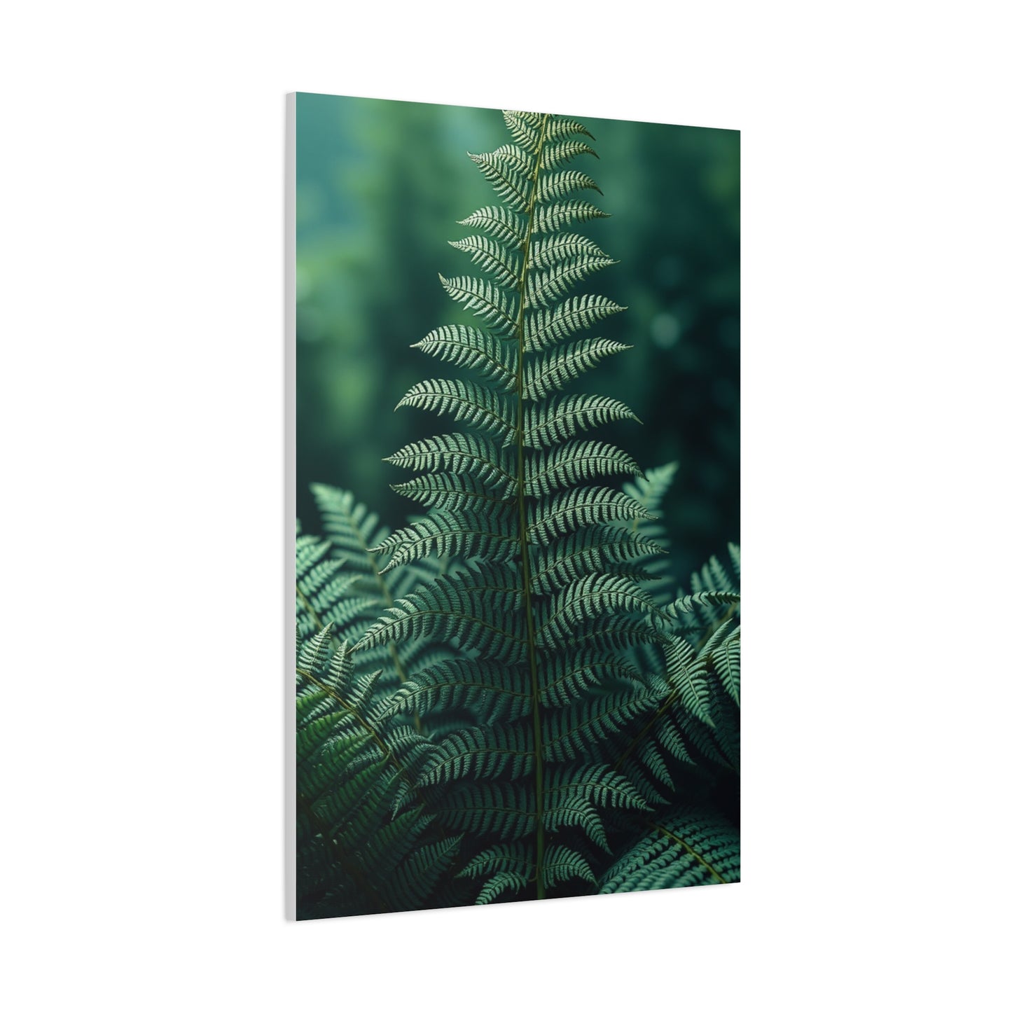 Fern Art Luxury Canvas Wall Art & Canvas Print