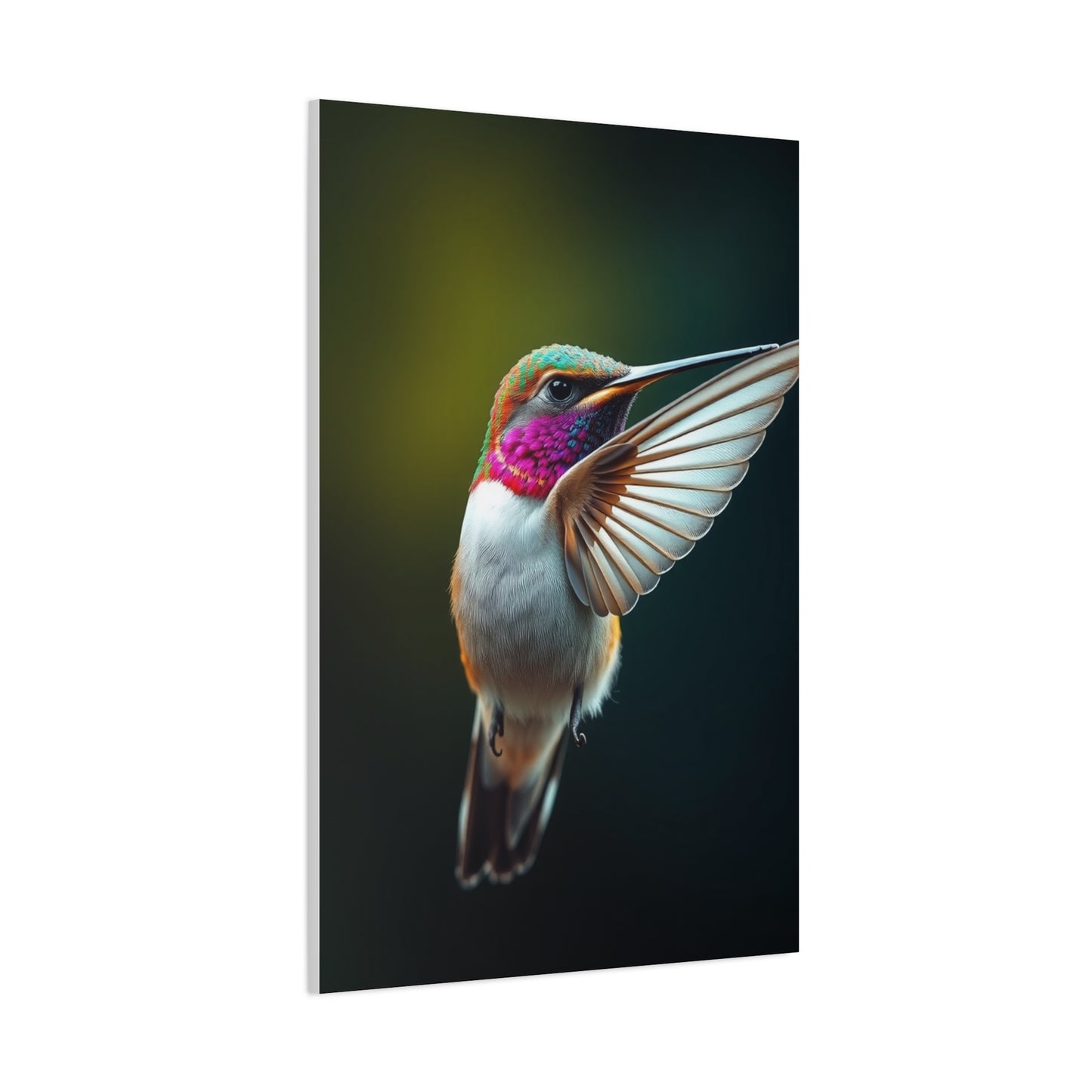 Humming Bird Art Supreme Gallery Wall Art & Canvas Print