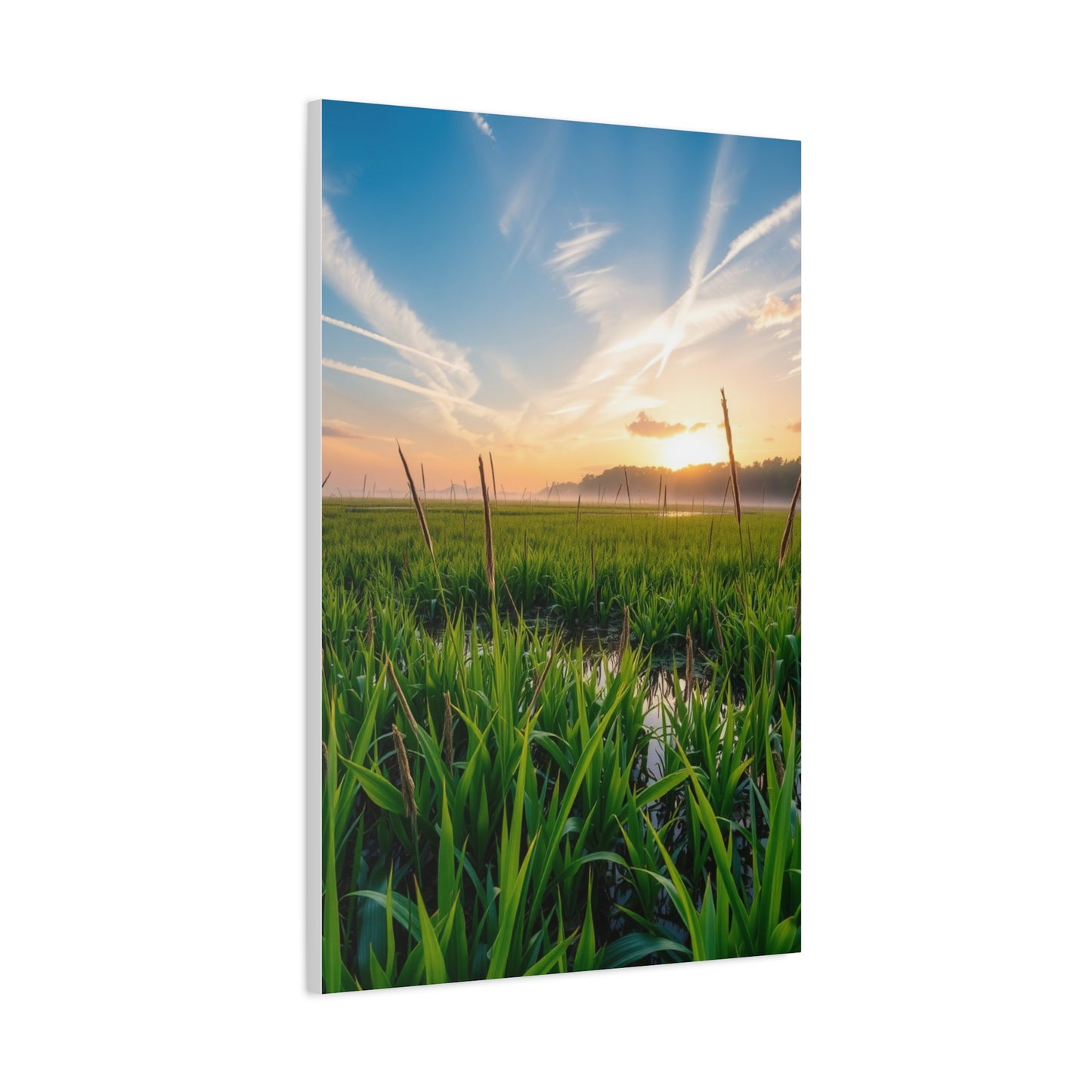 Supreme Marsh & Swamp Art Collection Wall Art & Canvas Print