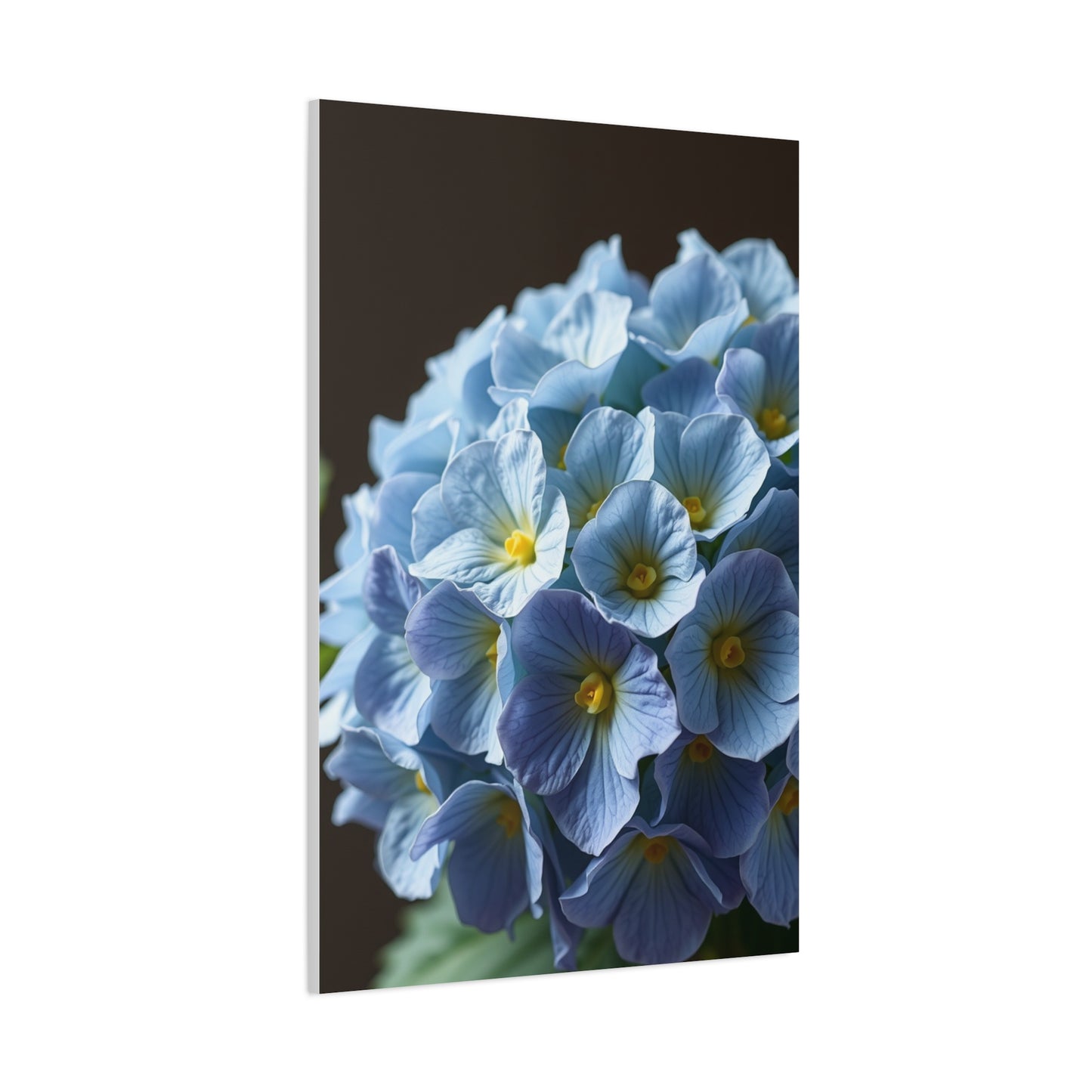 Hydrangea Flower Art Refined Canvas Wall Art & Canvas Print