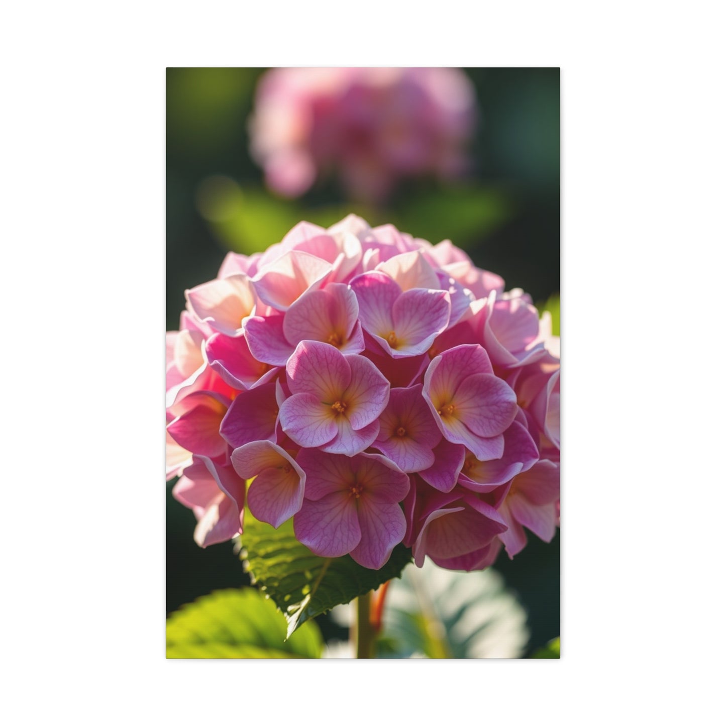 Hydrangea Flower Art Luxury Canvas Wall Art & Canvas Print