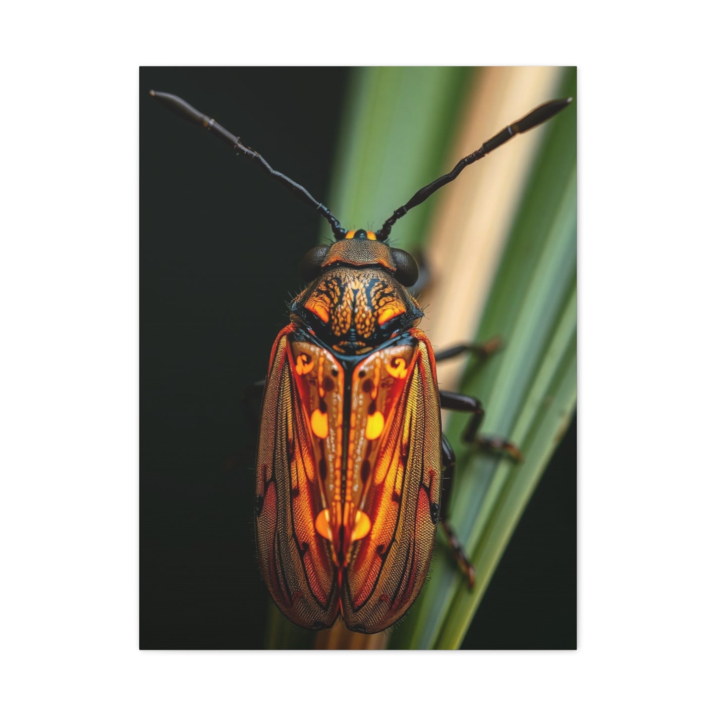 Firefly (Lighting Bug) Art Refined Canvas Wall Art & Canvas Print
