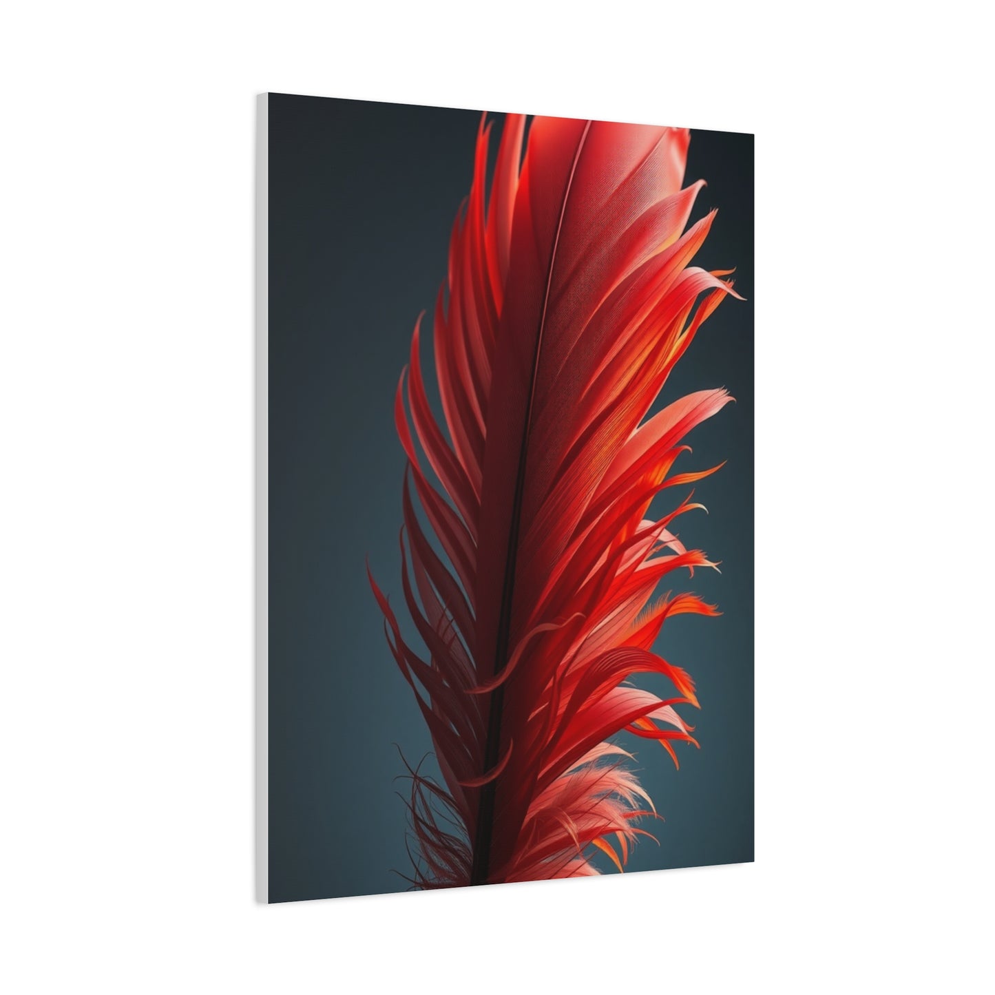 Elite Feather Art Vision Wall Art & Canvas Print