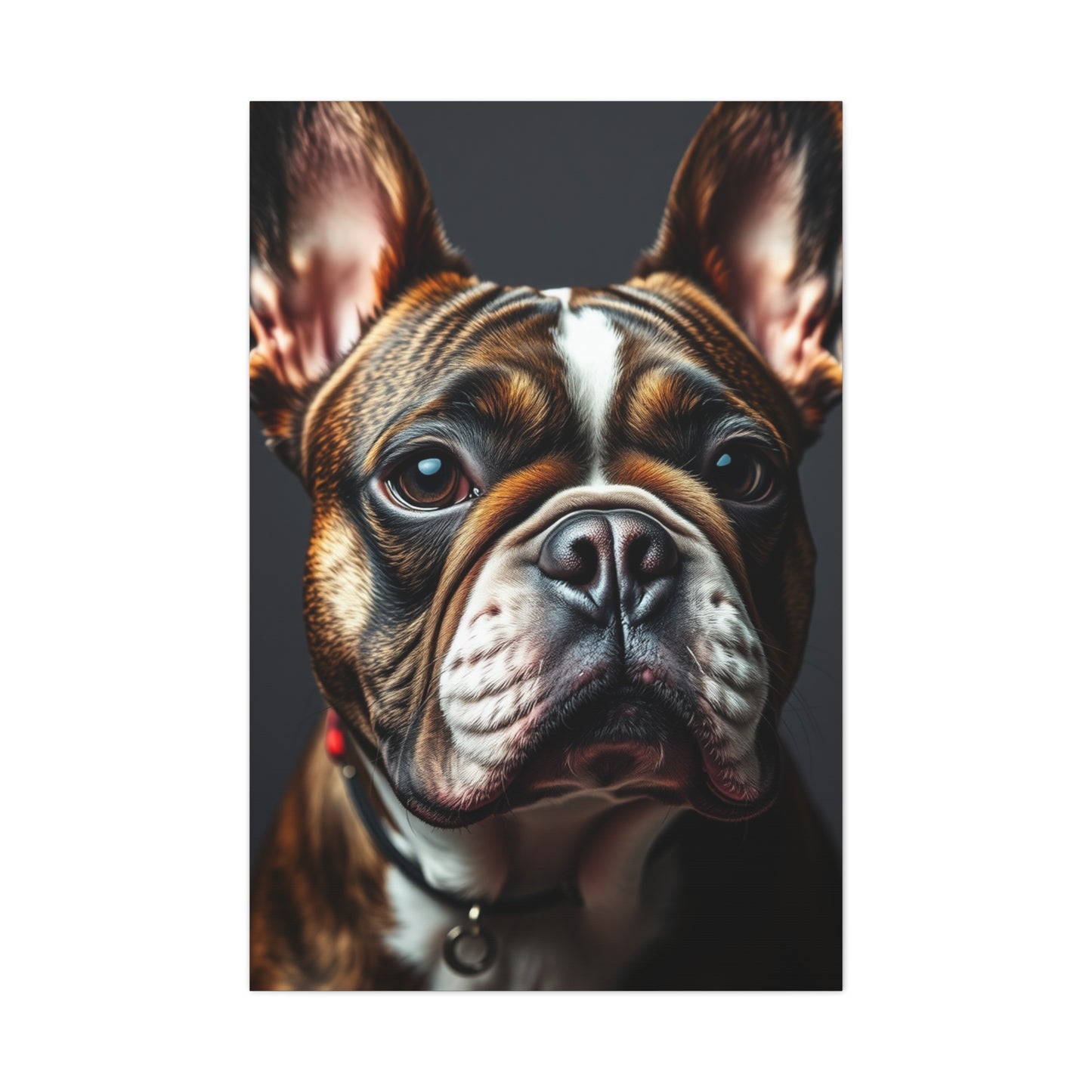 Supreme French Bulldog Art Collection Wall Art & Canvas Print