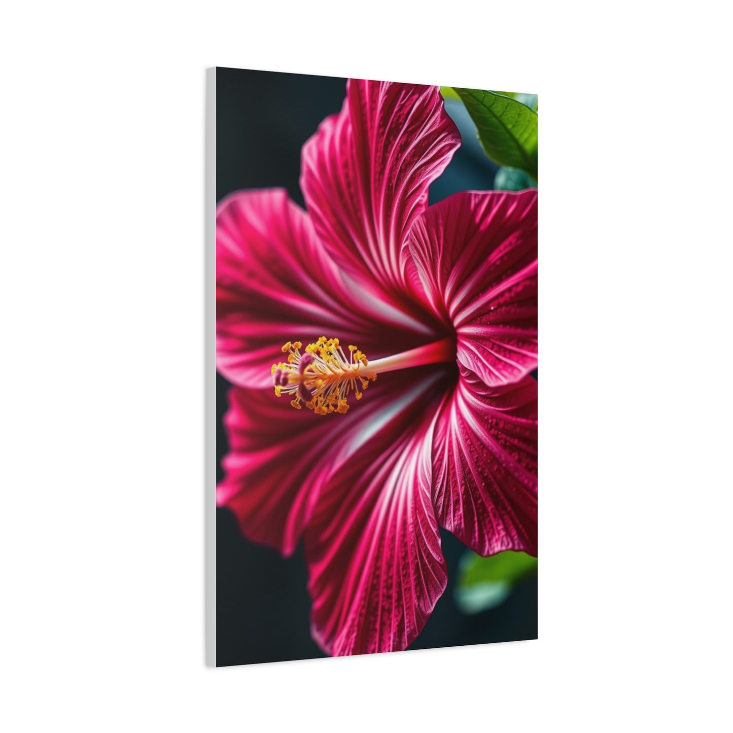 Collection Hibiscus Flower Art Art Wall Art & Canvas Print