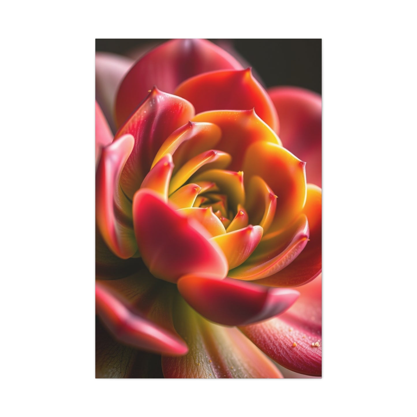 Supreme Succulent Art Collection Wall Art & Canvas Print